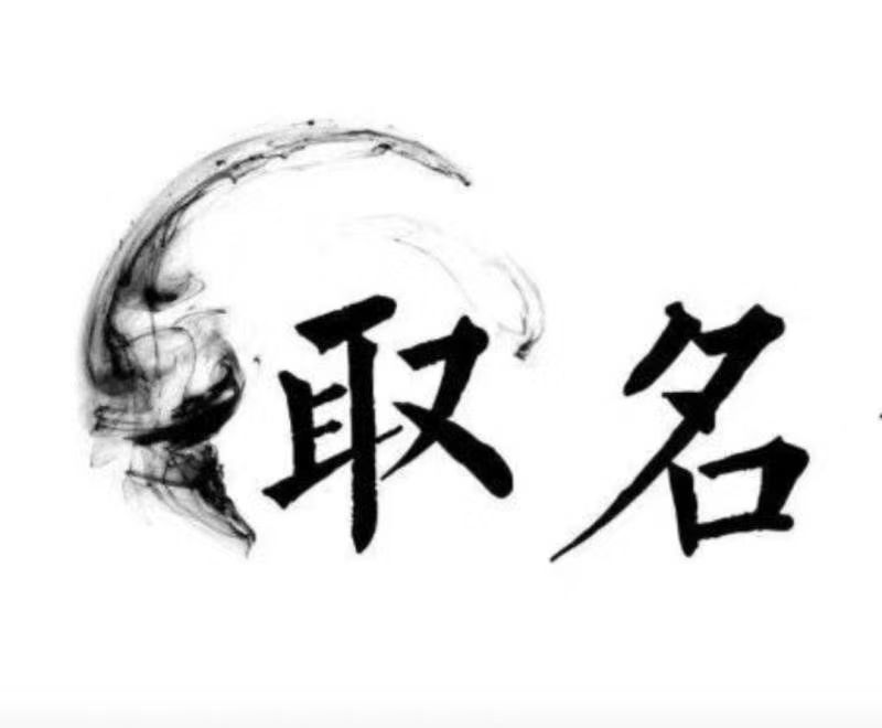  平湖宝宝取名 大师一对一人工起名